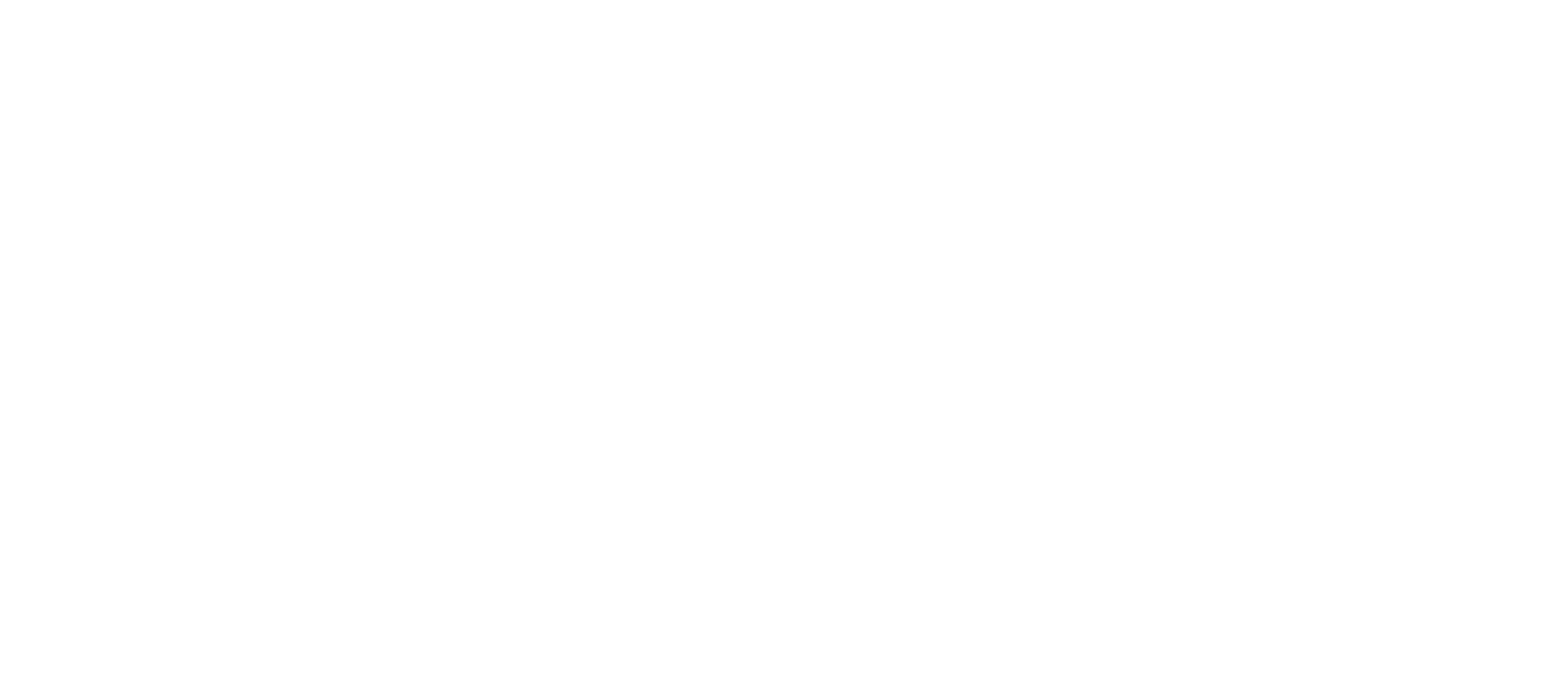DecaSIM Logo